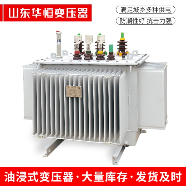S13-10000/35亚东亚东亚东电力变压器