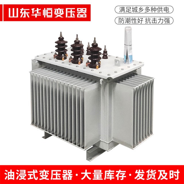 S13-10000/35亚东亚东亚东油浸式变压器厂家